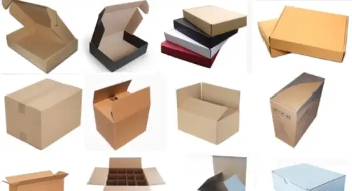 Packaging Options in Every Size & Shapes